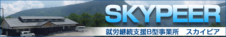 就労継続支援B型事業所　スカイピア